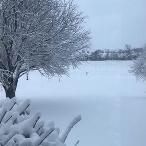 Meet your Posher, Bethany